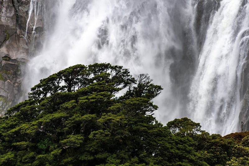 Scenic Landscapes